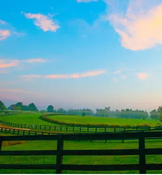 Kentucky Horse Park in Lexington, Kentucky looking over a wooden fence into large wide green fields of grass at sunrise.