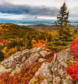 Fall foliage and trees on top of Cadillac Mountain on a cloudy day.