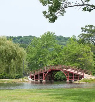 Red bridge in Elm Park, Massachusetts stretching over a pond in front of thick forestry and trees.