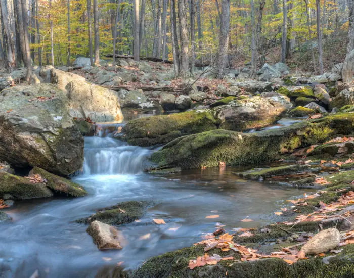 Harriman State Park in New York with nature around a flowing river down rocks and trees in autumn.