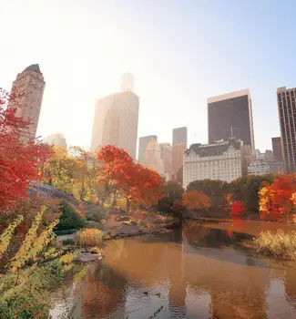 Central Park with morning bright sunlight and urban skyscrapers in autumn New York.