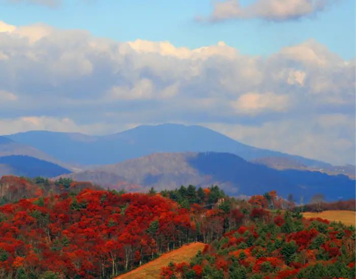 Blue Ridge Mountains in North Carolina on a cloudy day with vivid red trees.