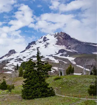 View of snow-capped Mount Hood from the Timberline Lodge in Summer.