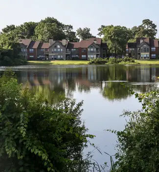 Houses in a row across a calm lake in Mount Pleasant, South Carolina at day time.