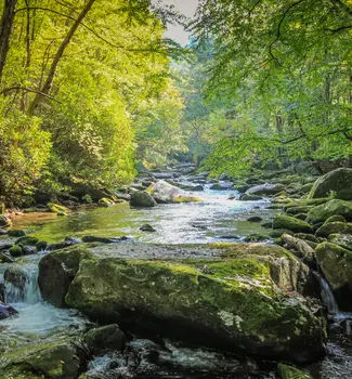 Hiking path next to a stream surrounded by green trees in Smokey National Park in Tennessee on a sunny day.