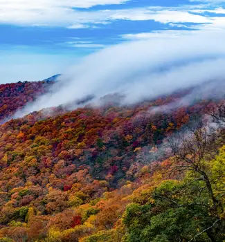 Great Smokey Mountains in Tennessee national parks close to North Carolina with red, orange, and yellow colored trees covering a hill with smoke.