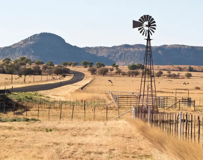 West Texas King Ranch with a windmill in the middle of a golden grassy field in front of mountains.