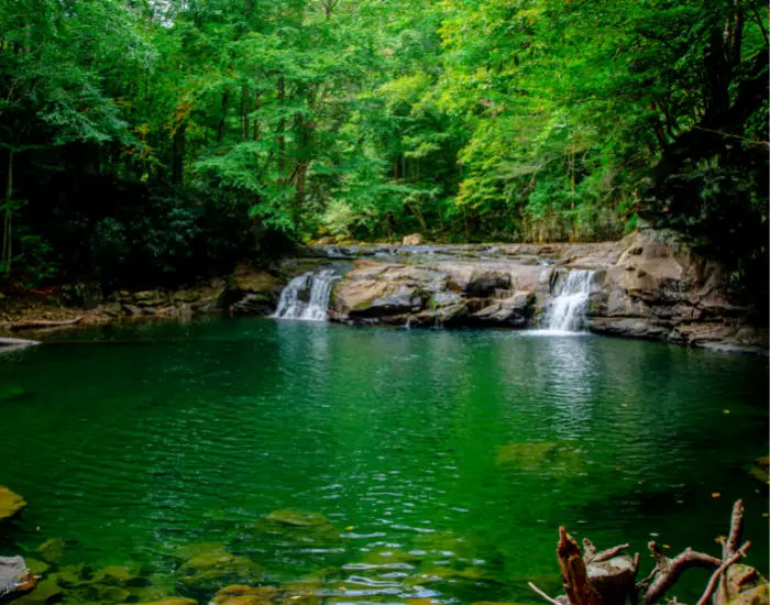 Nature landscape with small waterfalls in a forest with crystal clear water in West Virginia.