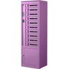 Bretford TCLAKS100EFDD 10-Bay TechGuard Connect Charging Cabinet - Steel - Pin Authentication - Orchid