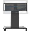 Microsoft Whiteboard Stand - 55