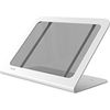 WindFall Stand for iPad 10th Generation - 6.6