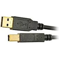 Tripp Lite U022-010 10 Feet USB 2.0 A/B Gold Device Cable - Type A/Type B Male/Male