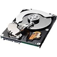 Samsung HD080HJ/P 80 GB Hard Drive - 7200 RPM - 8 MB - Serial ATA-150