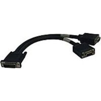 Tripp Lite P574-001 1 Feet DMS59 to 2VGA Female Splitter Cable - Black