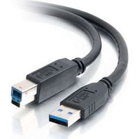 Cables to Go 54174_5 6.6 Feet USB Cable - 1 x 9 pin USB 3.0 Type A Male/Male - Black