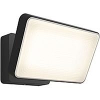 Philips Discover Outdoor Floodlight - 6