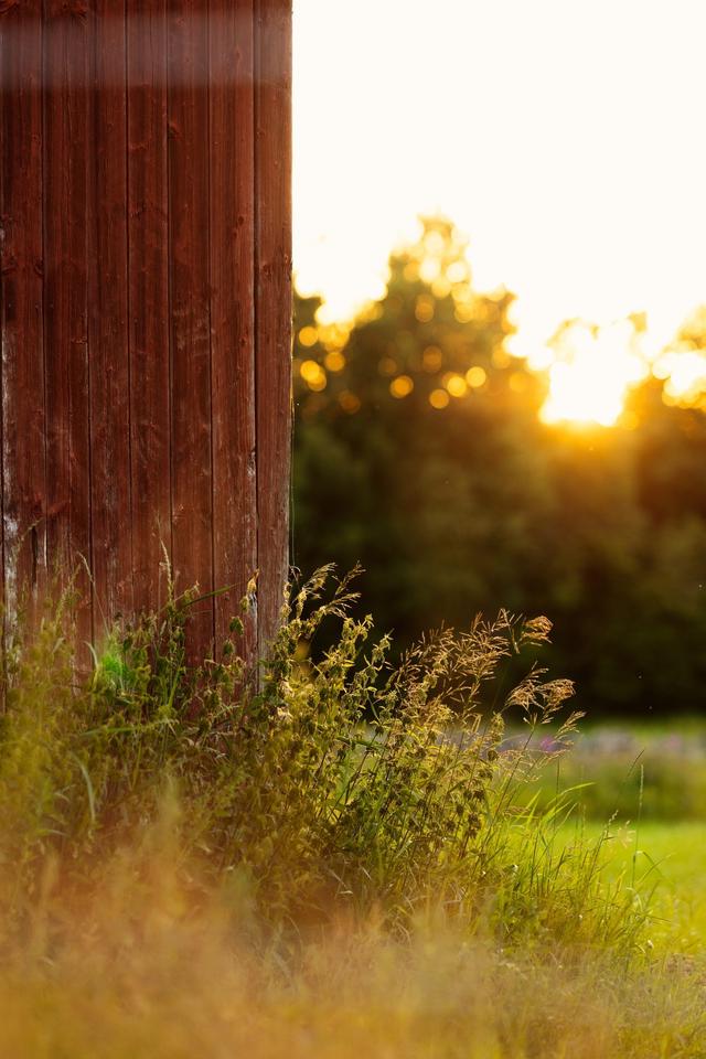 Summer barn