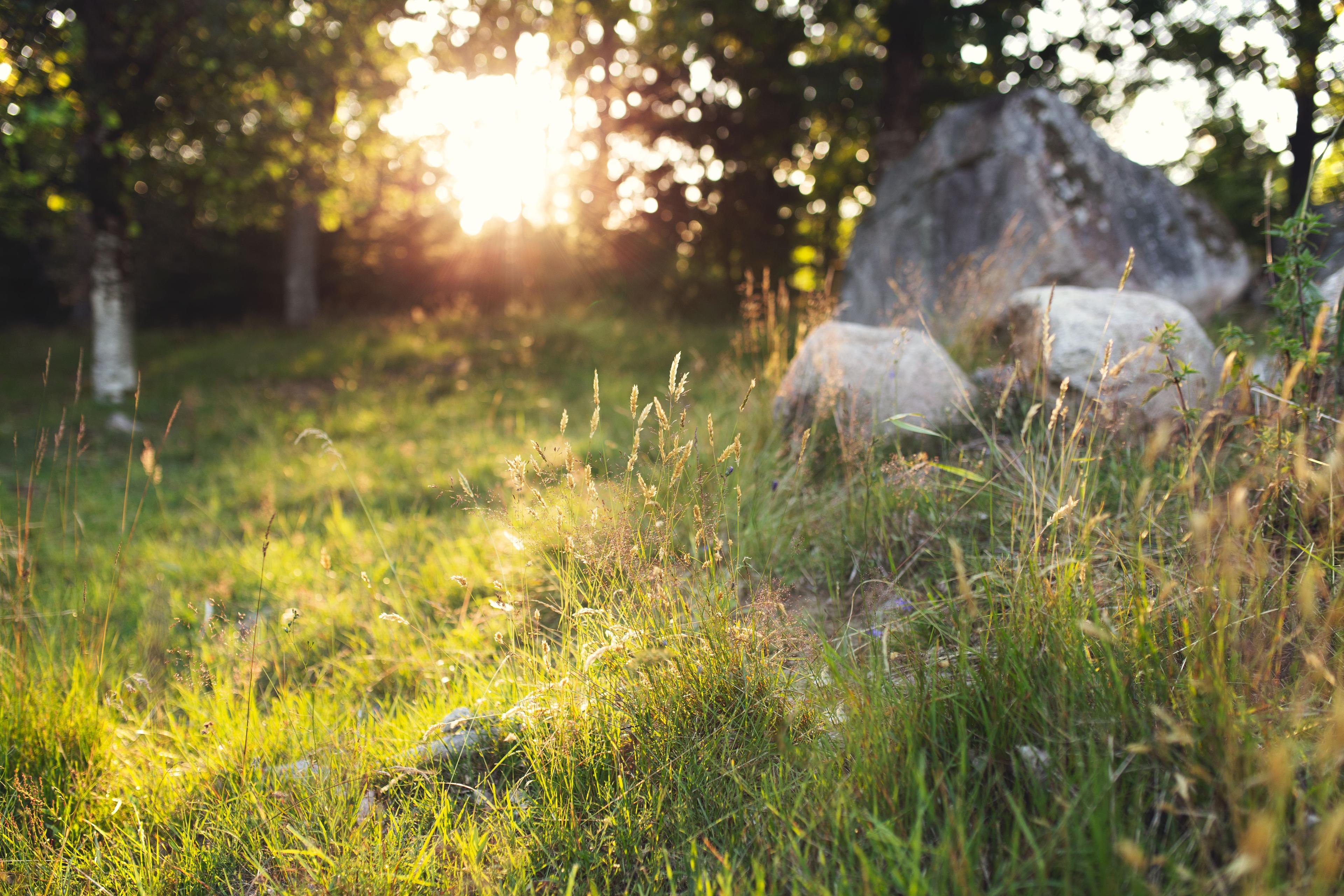 Sunset light and stones