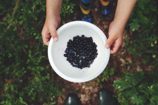 Blueberries