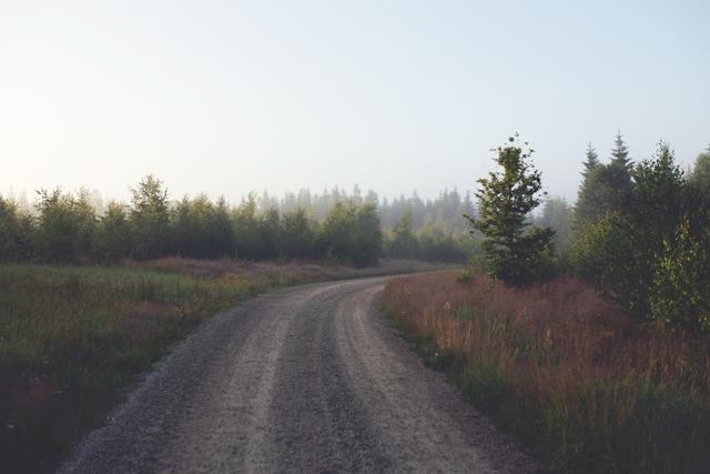 Early morning road