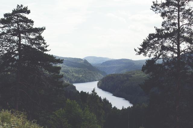 Woods and water