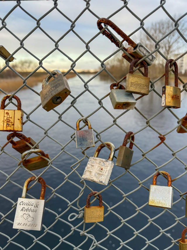 Rusted love locks on a bridge fence over a river.
