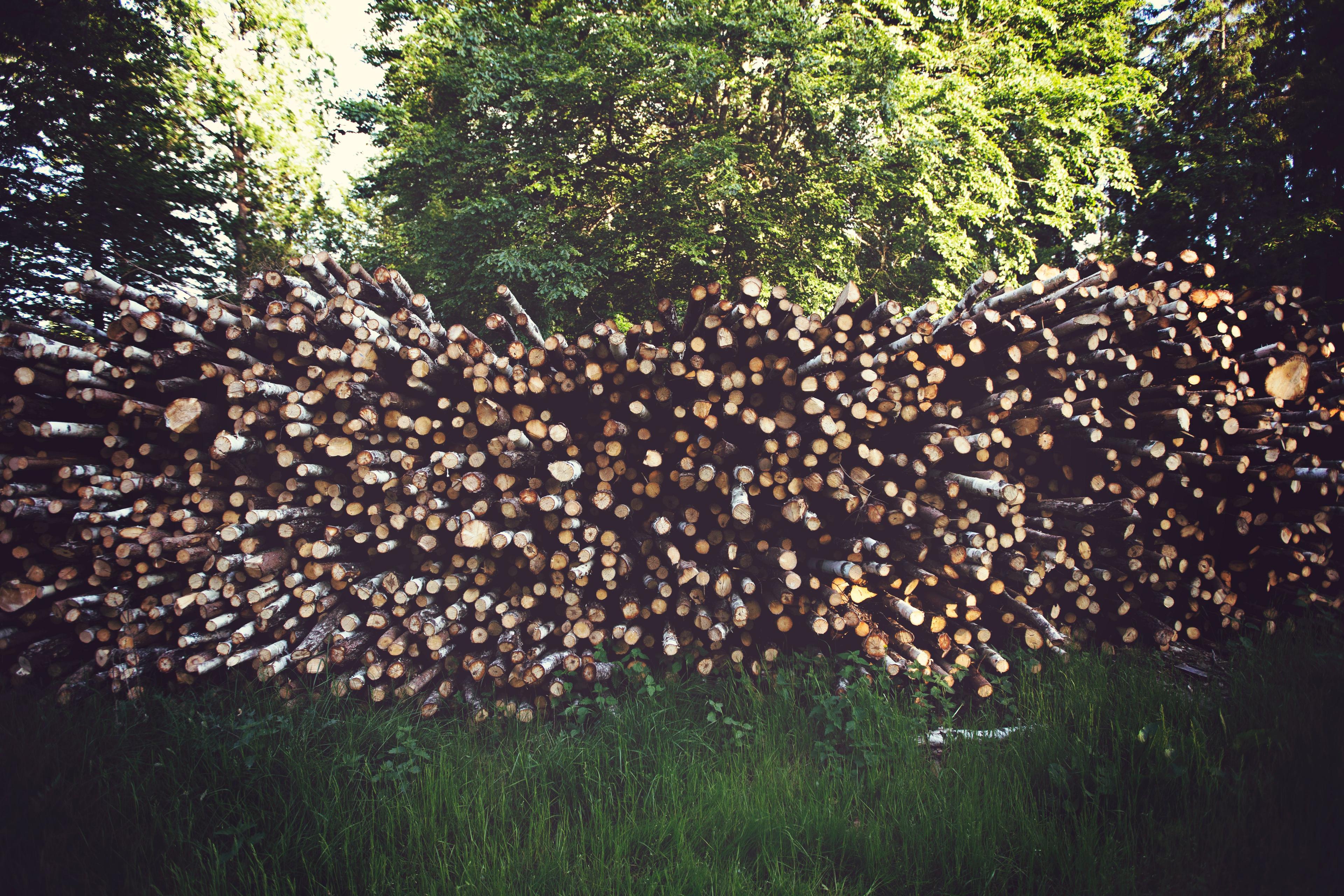 Wood logs