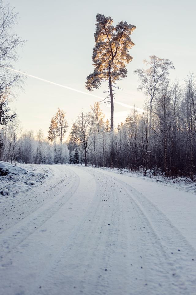 Winter road