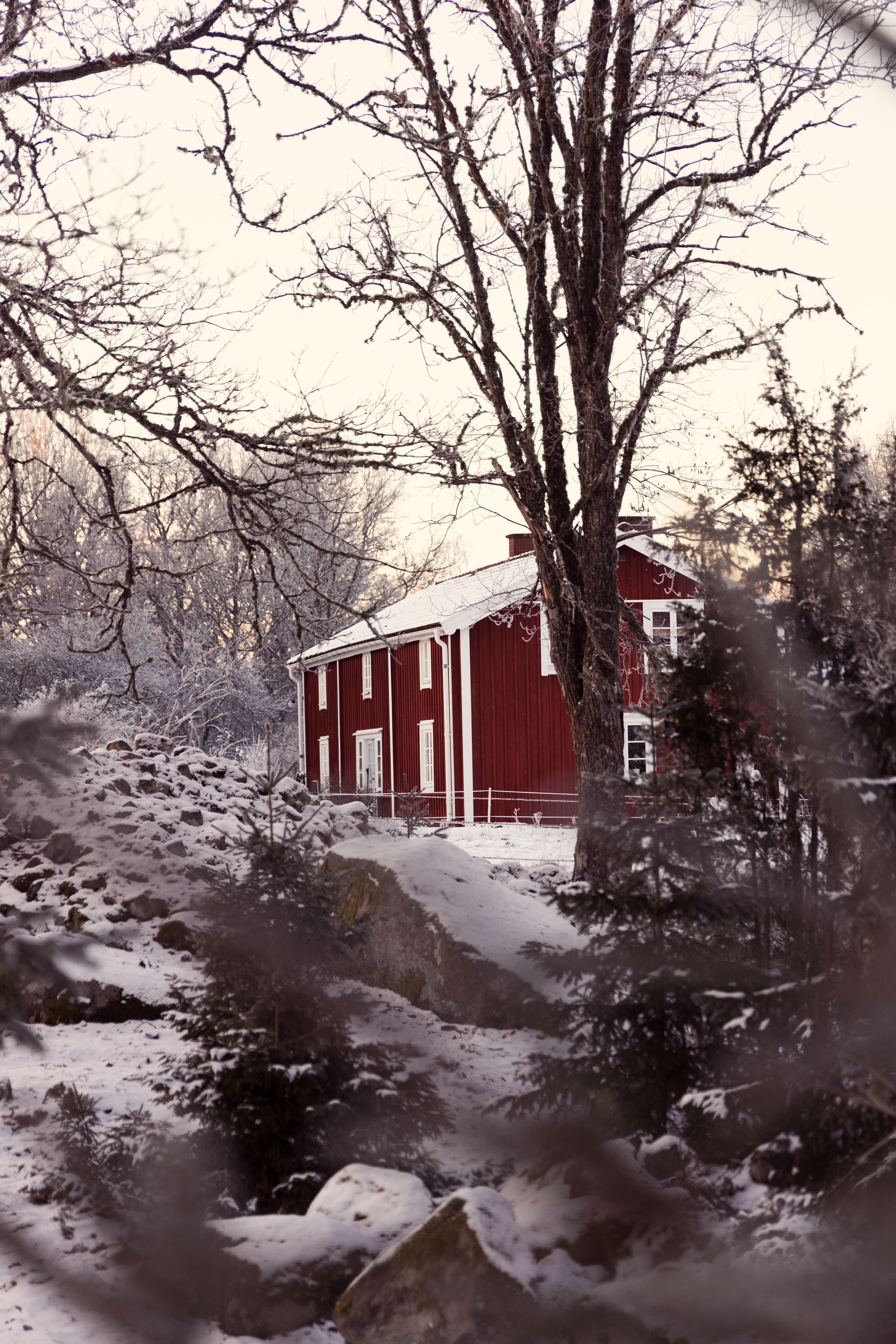 Red winter house