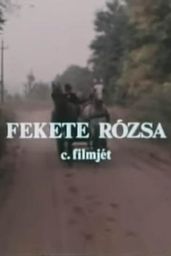 Fekete rózsa