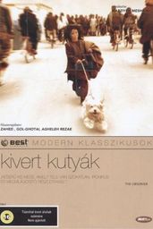 Kivert kutyák