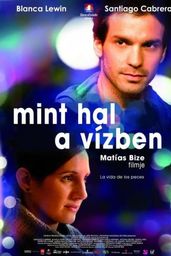 Mint hal a vízben.