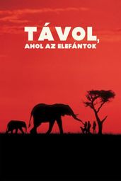 Távol, ahol az elefántok...