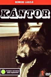 Kántor