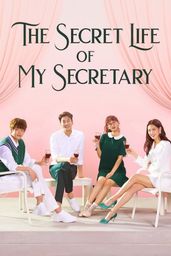 The Secret Life of My Secretary