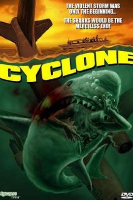 Cyclone