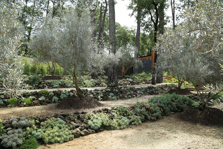 Muro de piedra en jardín