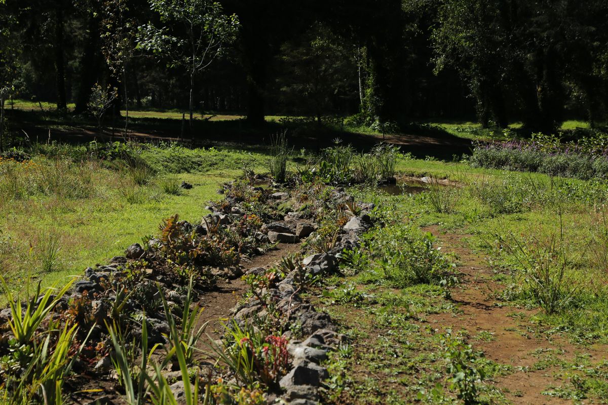 Arroyo