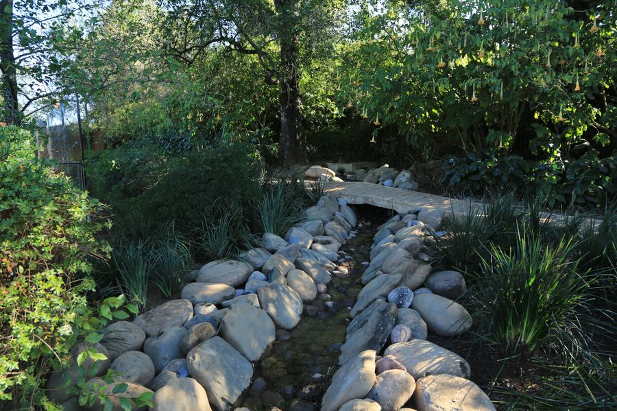 Arroyo