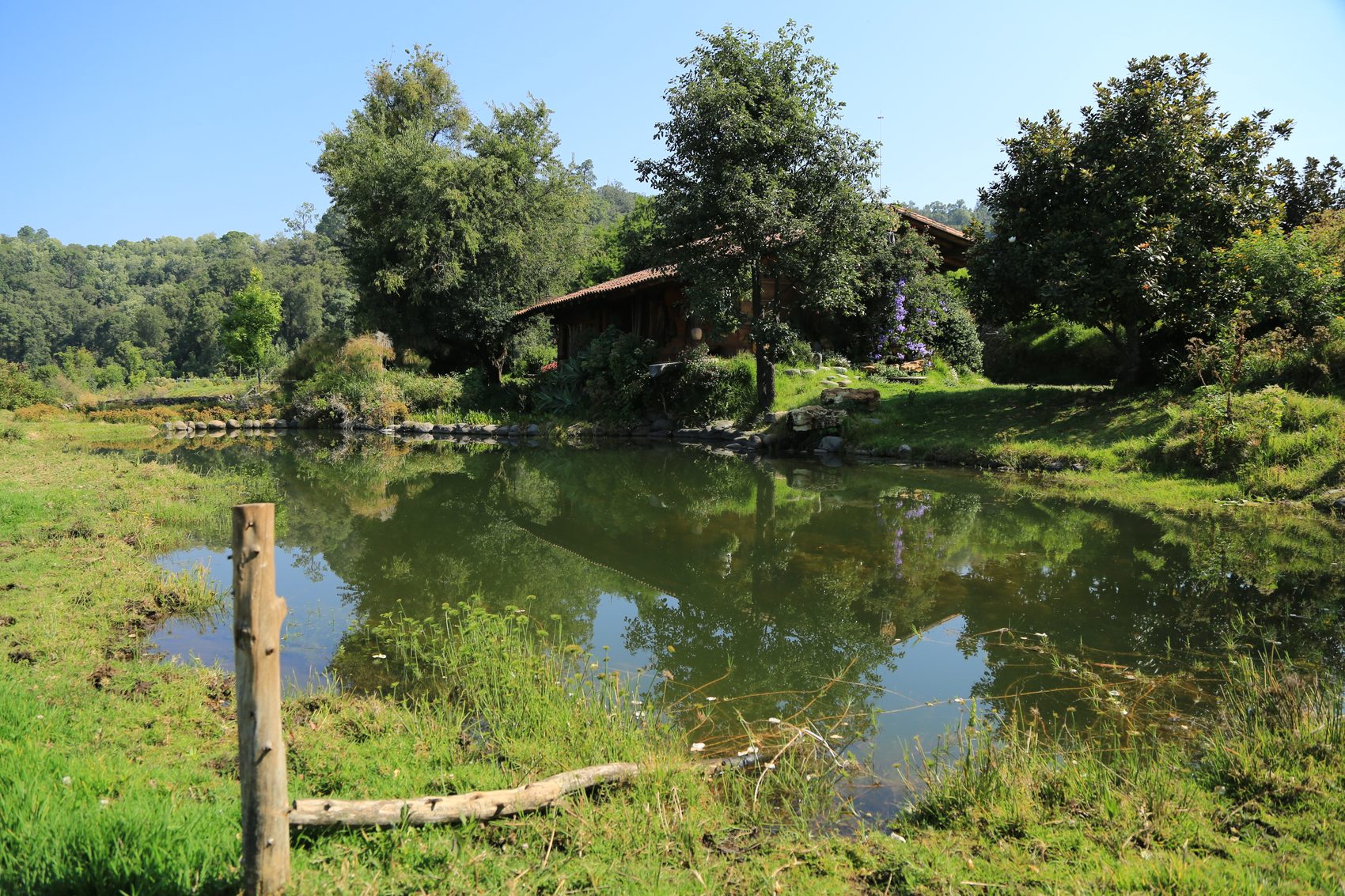 Jardín en Valle de Bravo