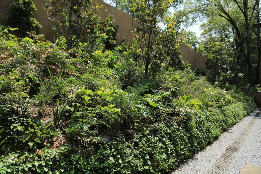 Jardines y ranchos