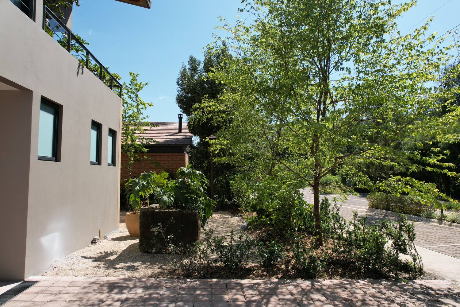 Paisaje y plantación