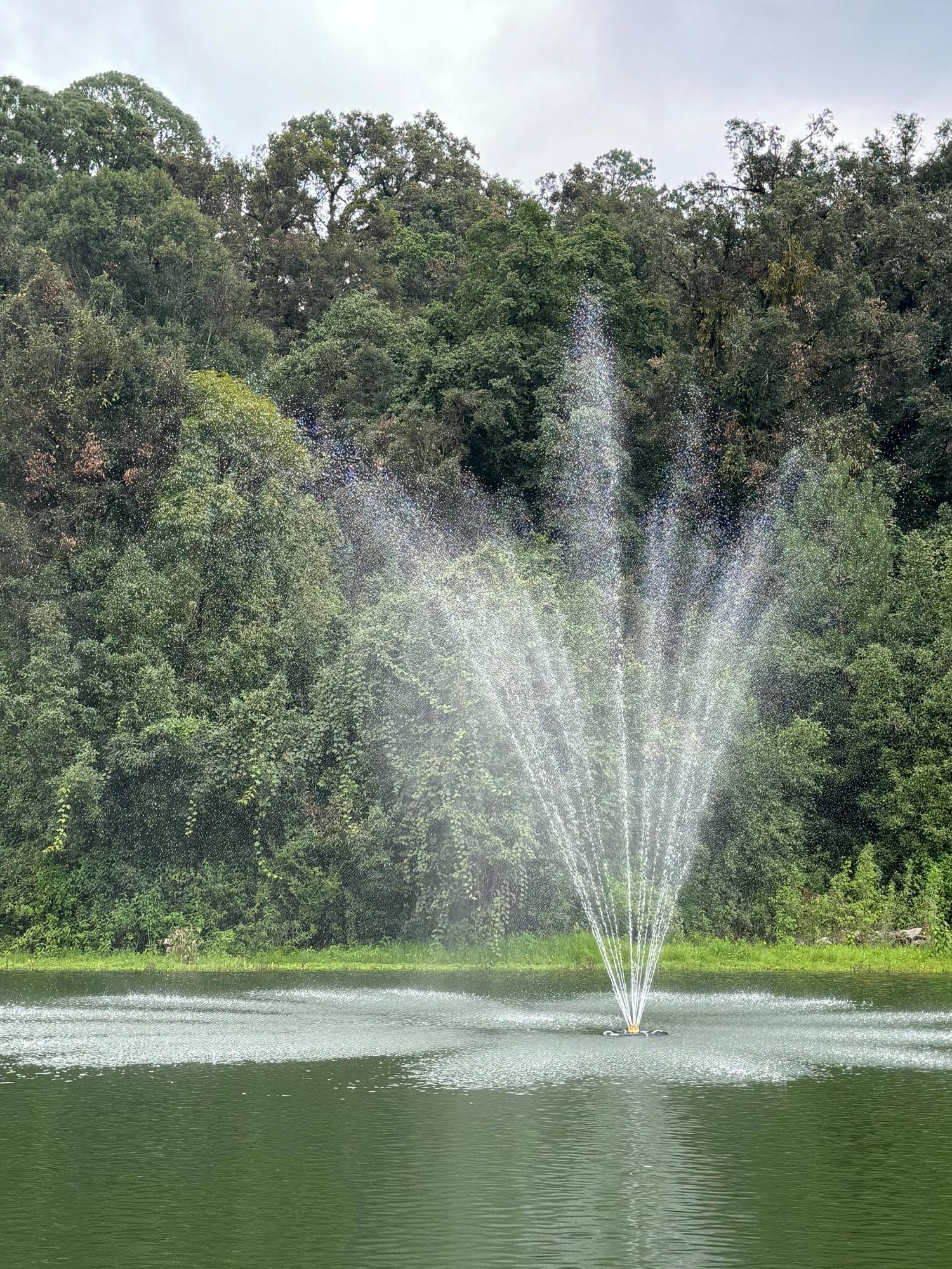Fuente aireadora oxigenando un estanque frente al bosque