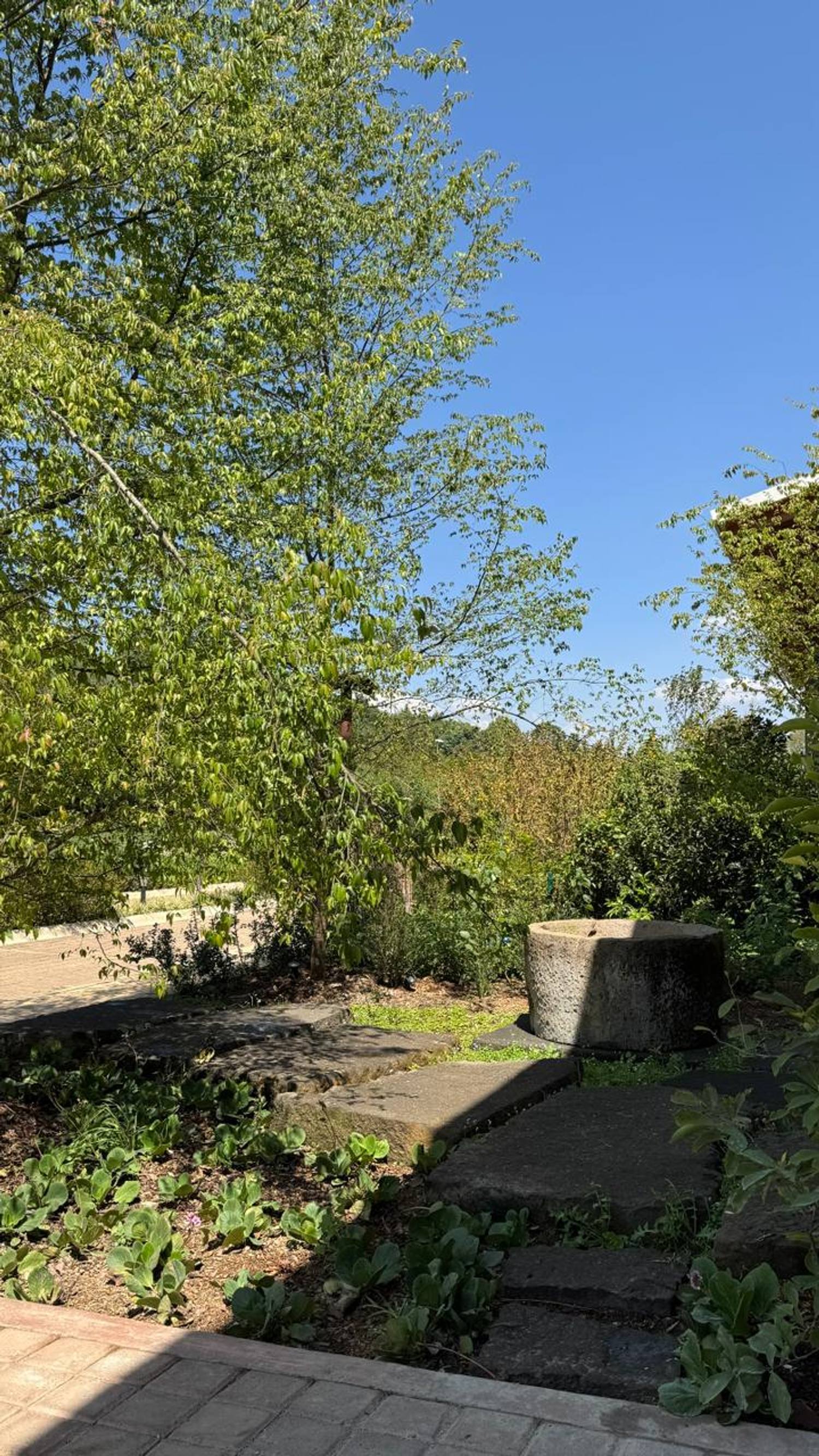 Piezas de cantera en el jardín