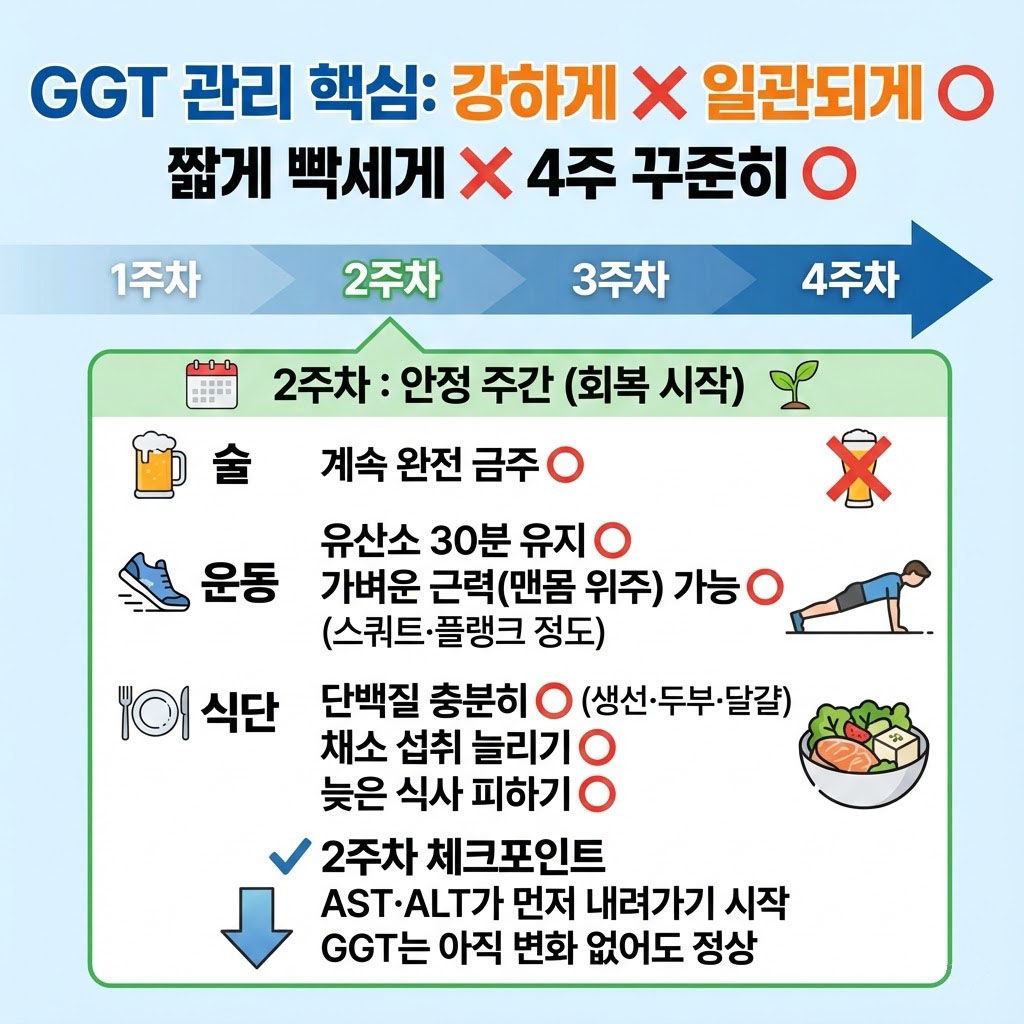 2주차: 안정 주간 (회복 시작)