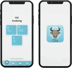 mobile app portfolio