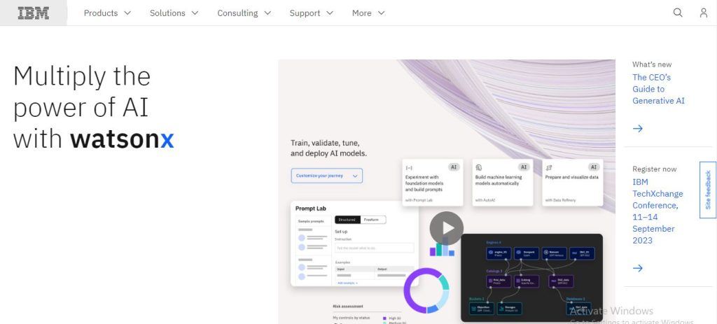 IBM
