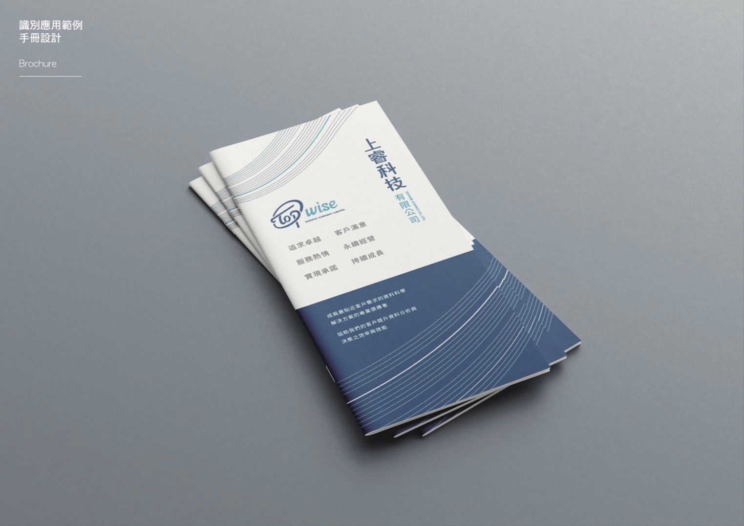 TOPWISE Technology｜LOGO design, name design, envelope design for technology companies