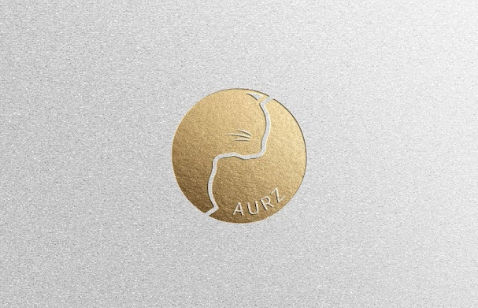 AURZ pet brand｜CIS design, LOGO design logo design close-up