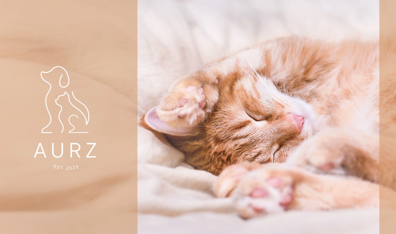 AURZ pet brand｜CIS design, LOGO design, brand design